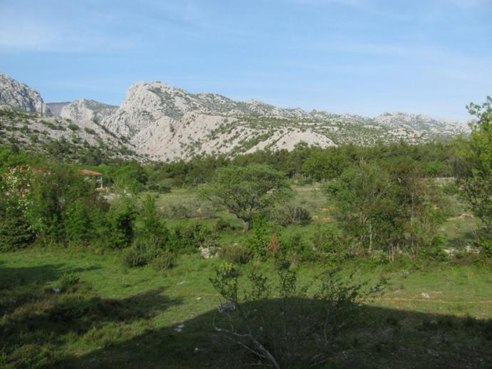 Paklina Apartments Starigrad Paklenica Exterior photo